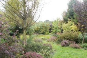 Het Luitzenpark