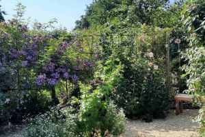 De Cleyne Hortus