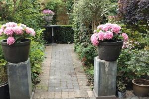 Annette Schreuder