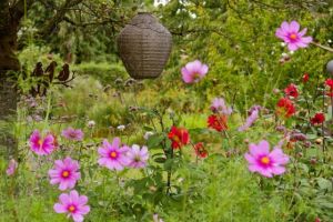 Blommentuin