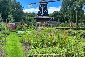 Dorps-school-tuin 