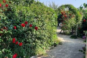 De Cleyne Hortus