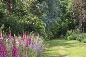 Tuin op de Garst 