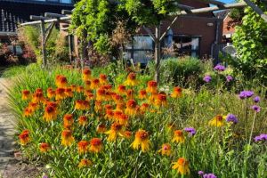 Tuin van Labyrint 